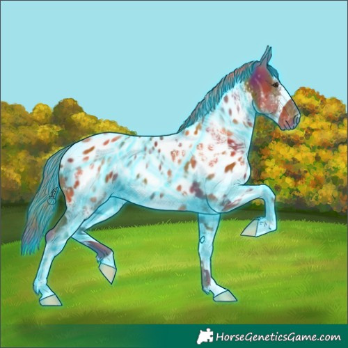 Horse Color:Nacre Thunderstruck White Spotted Chestnut Near Leopard