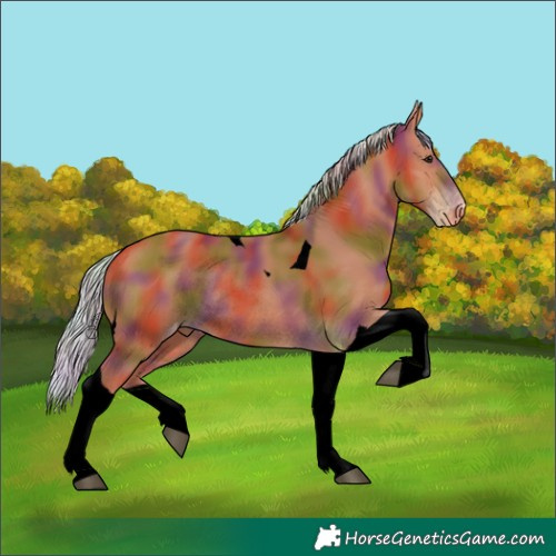Horse Color:Void Nacre Silver Bay Tobiano Varnish Rabicano