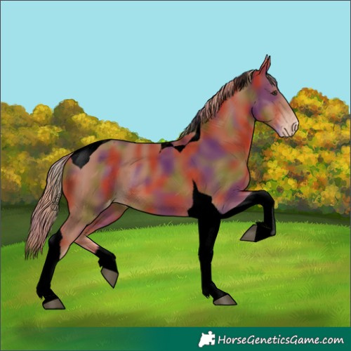 Horse Color:Void Nacre Chestnut Tobiano Varnish 
