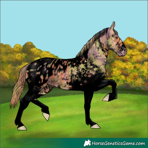 Horse Color:Void Nacre White Spotted Chestnut Tobiano Blanket