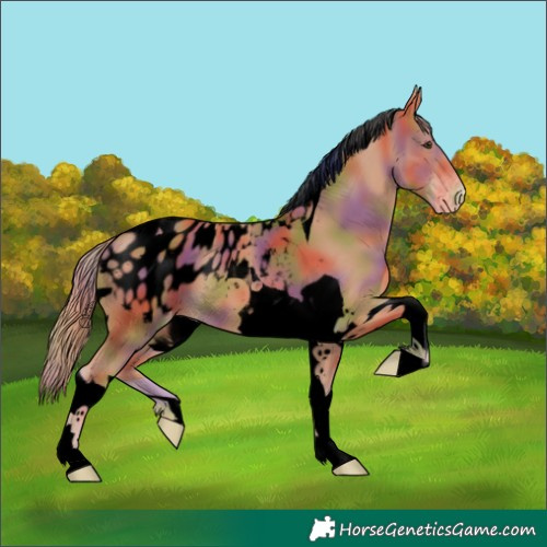 Horse Color:Void Nacre Chestnut Tobiano Blanket