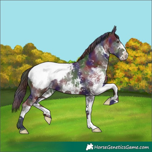 Horse Color:Nacre White Spotted Liver Chestnut Snowcap