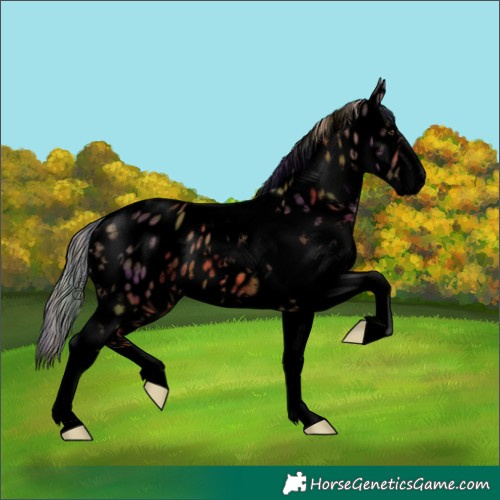 Horse Color:Void Nacre White Spotted Chestnut Tobiano Leopard 