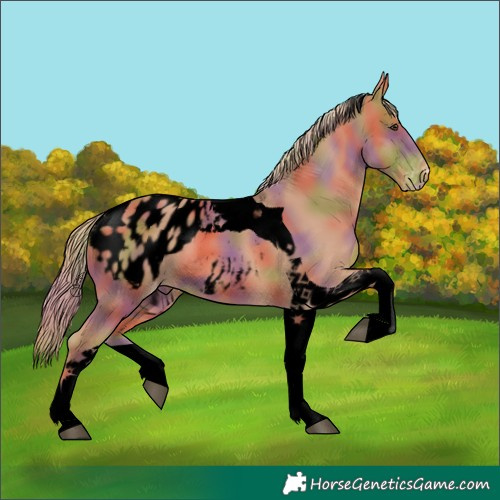 Horse Color:Void Nacre Chestnut Tobiano Blanket 
