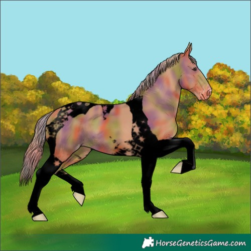 Horse Color:Void Nacre Chestnut Tobiano Varnish