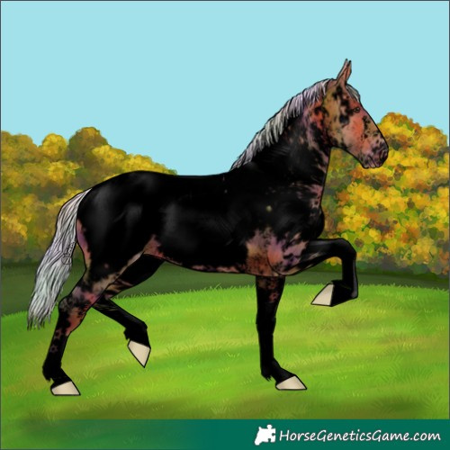 Horse Color:Void Nacre White Spotted Silver Bay Near Fewspot