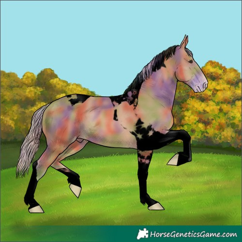 Horse Color:Void Nacre Chestnut Tobiano Varnish 