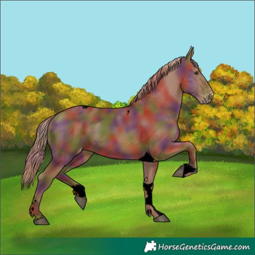 Horse Color:Void Nacre Chestnut Tobiano Varnish 