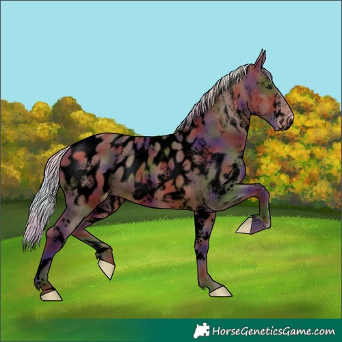 Horse Color:Void Nacre White Spotted Silver Brown Near Leopard 
