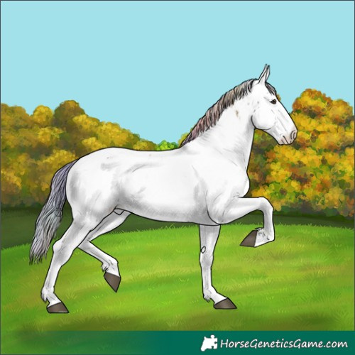 Horse Color:Nacre White Spotted Chestnut Mushroom Near Fewspot 