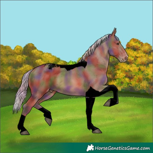 Horse Color:Void Nacre Chestnut Mushroom Tobiano Snowcap 