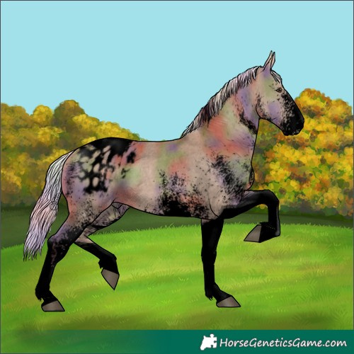Horse Color:Void Nacre White Spotted Chestnut Mushroom Tobiano Blanket 