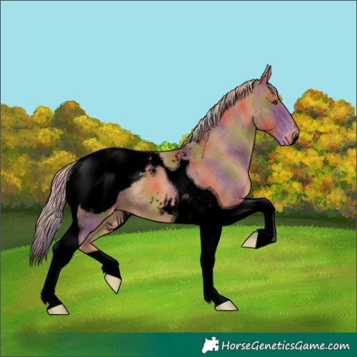 Horse Color:Void Nacre Chestnut Tobiano Snowcap