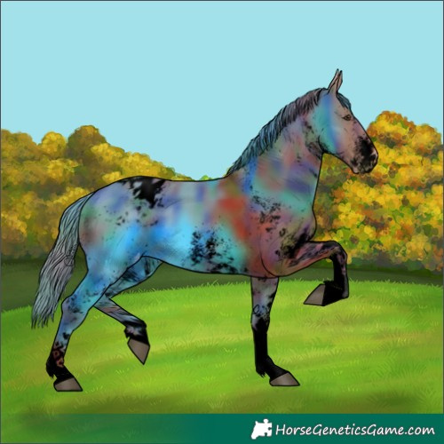 Horse Color:Void Nacre White Spotted Chestnut Blanket