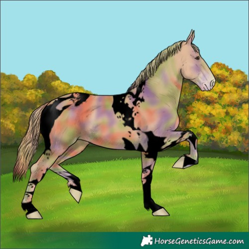 Horse Color:Void Nacre Chestnut Tobiano Snowcap
