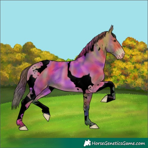 Horse Color:Void Nacre Bay Mushroom Tobiano Varnish 
