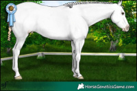 Horse Color:Buckskin Dun Snowflake Varnish 