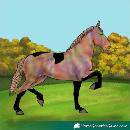 Horse Color:Void Nacre Chestnut Tobiano Varnish