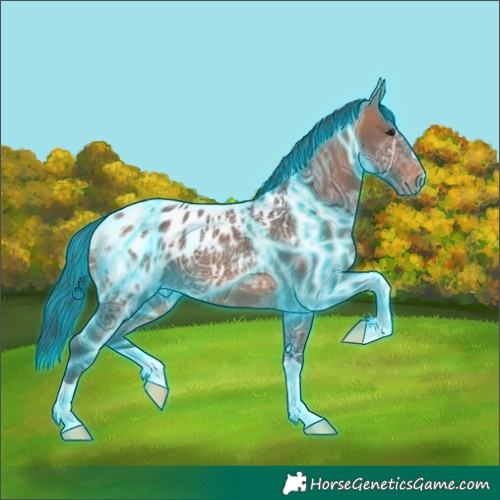 Horse Color:Thunderstruck Bay Ice Blanket 