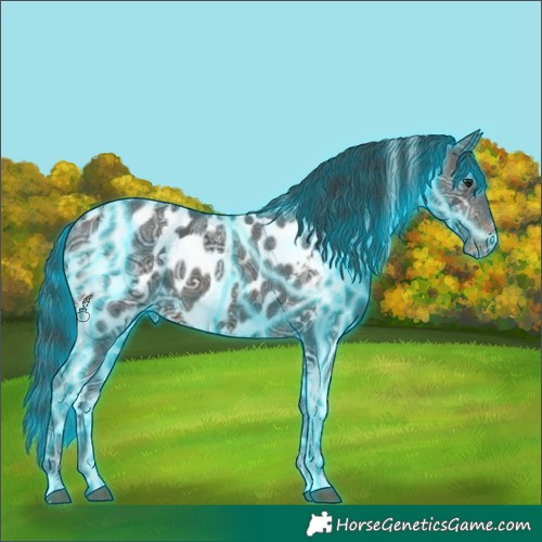 Horse Color:Thunderstruck White Spotted Brown Ice Near Leopard