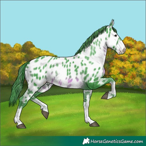 Horse Color:Watercolor White Spotted Black Near Leopard 