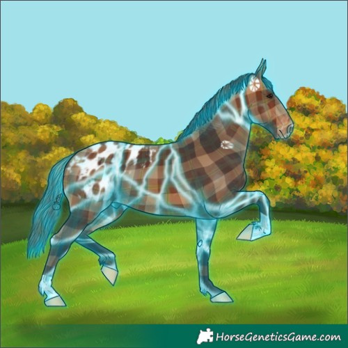 Horse Color:Thunderstruck Plaid  Bay Blanket 