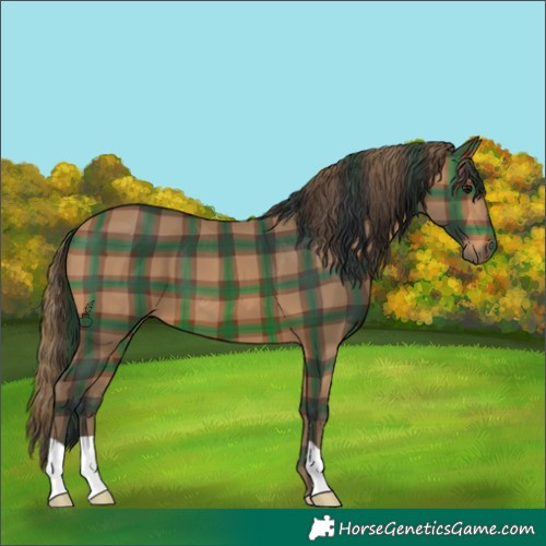 Horse Color:Plaid  Brown 