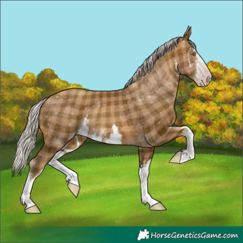 Horse Color:Gray Plaid White Spotted Silver Amber Champagne