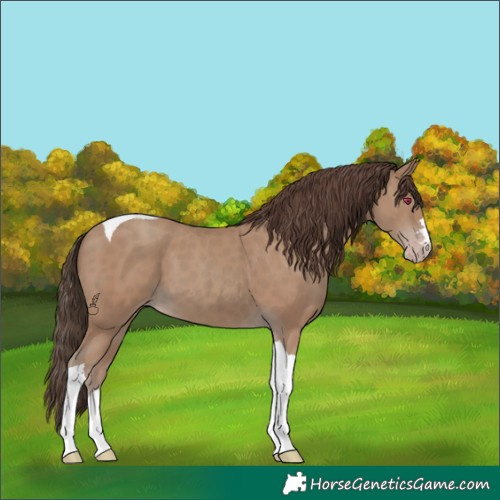 Horse Color:Classic Champagne Tobiano 