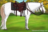 Horse Color:Buckskin Roan Fewspot 
