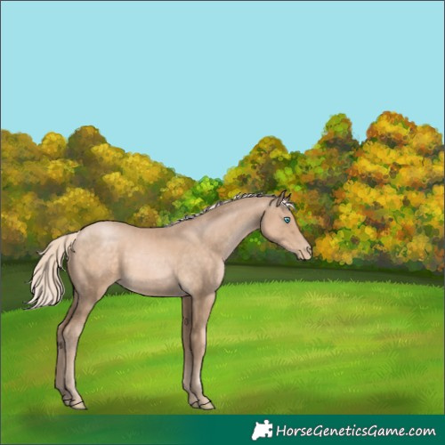 Horse Color:Chocolate Palomino Pearl