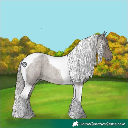 Horse Color:Silver Grullo Roan Tobiano Brindle
