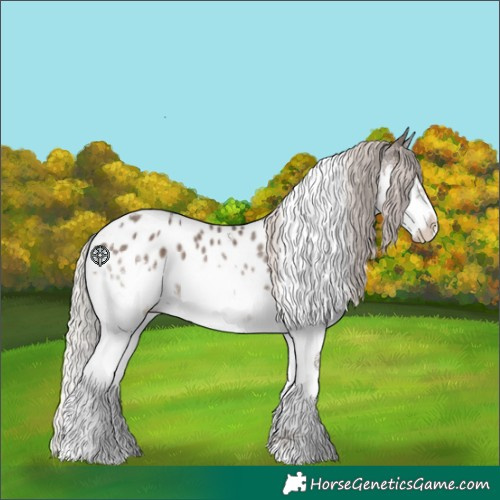 Horse Color:Silver Black Splash Tobiano Appaloosa 