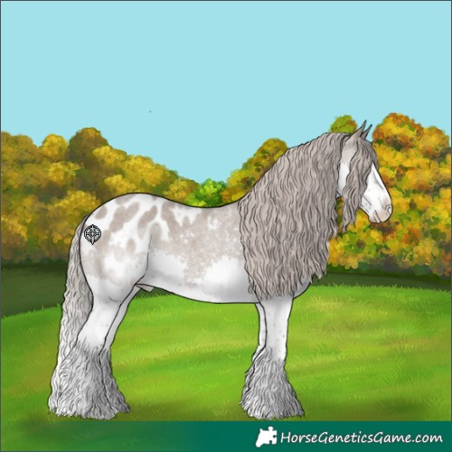 Horse Color:Silver Grullo Roan Splash Blanket