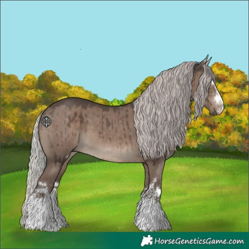 Horse Color:Silver Grullo Brindle 