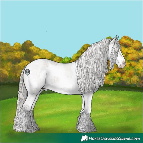 Horse Color:Silver Grullo Roan Splash Tobiano Brindle