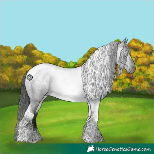 Horse Color:Blue Roan Tobiano 