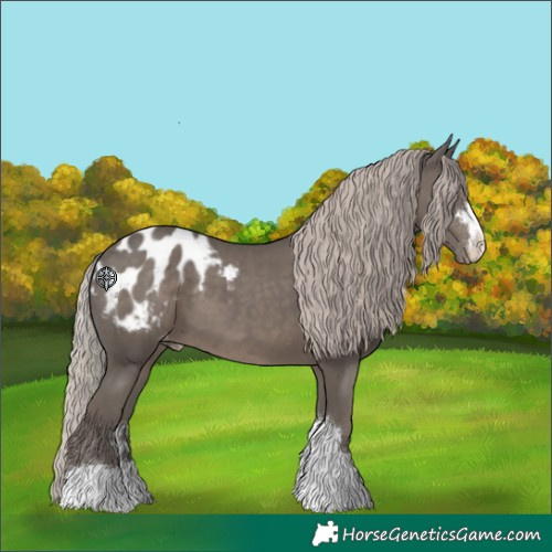 Horse Color:Silver Black Blanket