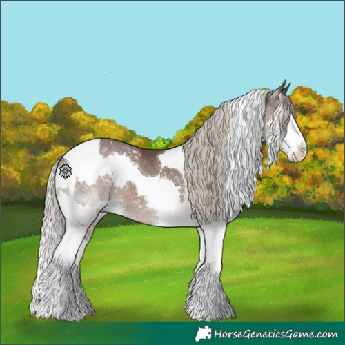 Horse Color:Silver Black Splash Tobiano 