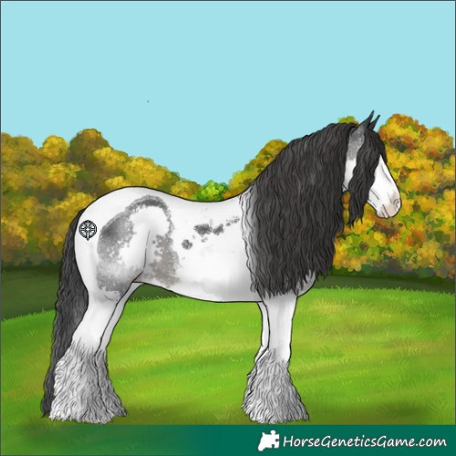 Horse Color:Black Splash Tobiano 