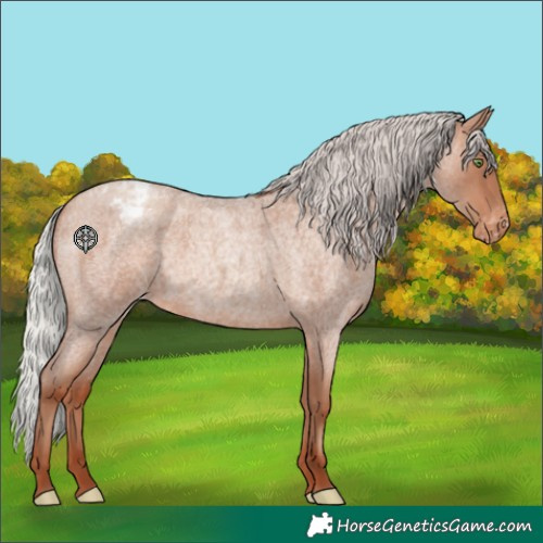 Horse Color:Silver Sable Champagne Roan Varnish 