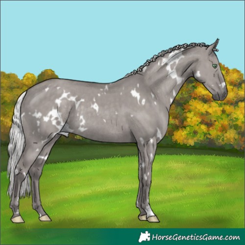 Horse Color:Platinum White Spotted Silver Smoky Grullo Rabicano Brindle 