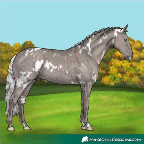 Horse Color:Platinum White Spotted Silver Smoky Grullo Rabicano
