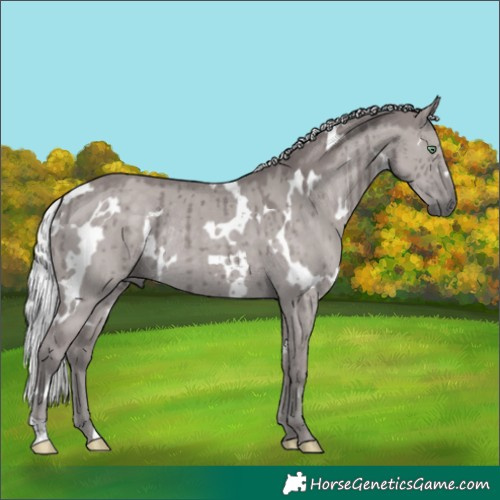Horse Color:Platinum White Spotted Silver Smoky Grullo Rabicano Brindle