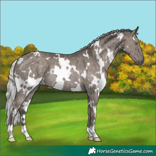 Horse Color:Platinum White Spotted Silver Grullo Rabicano Brindle