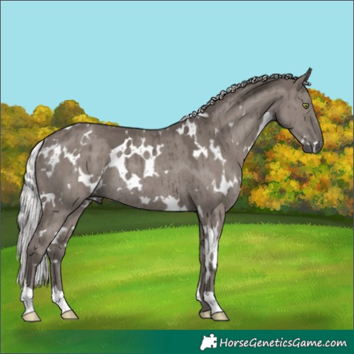 Horse Color:Platinum White Spotted Silver Grullo Rabicano Brindle 
