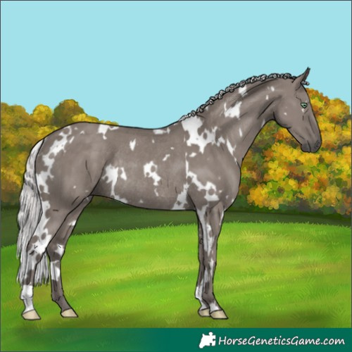 Horse Color:Platinum White Spotted Silver Smoky Grullo Rabicano Brindle