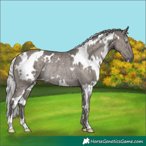Horse Color:Platinum White Spotted Silver Smoky Grullo Rabicano Brindle 