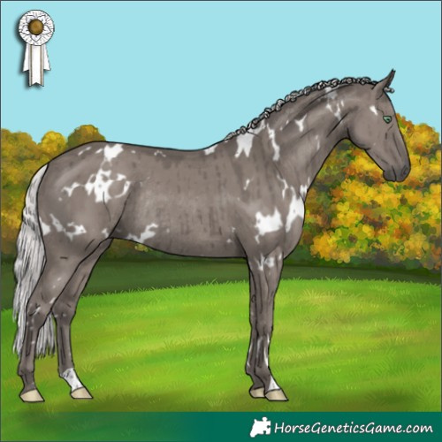 Horse Color:Platinum White Spotted Silver Smoky Grullo Rabicano Brindle 