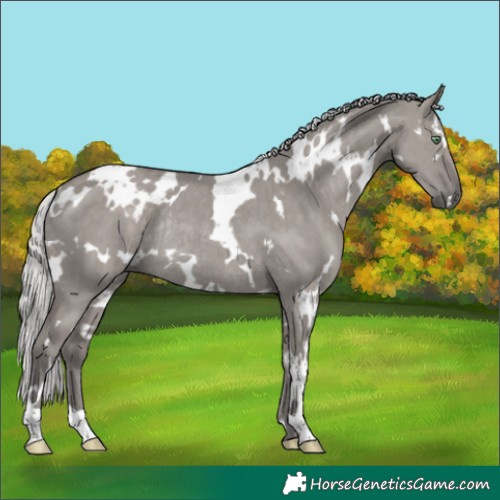 Horse Color:Platinum White Spotted Silver Smoky Grullo Rabicano Brindle